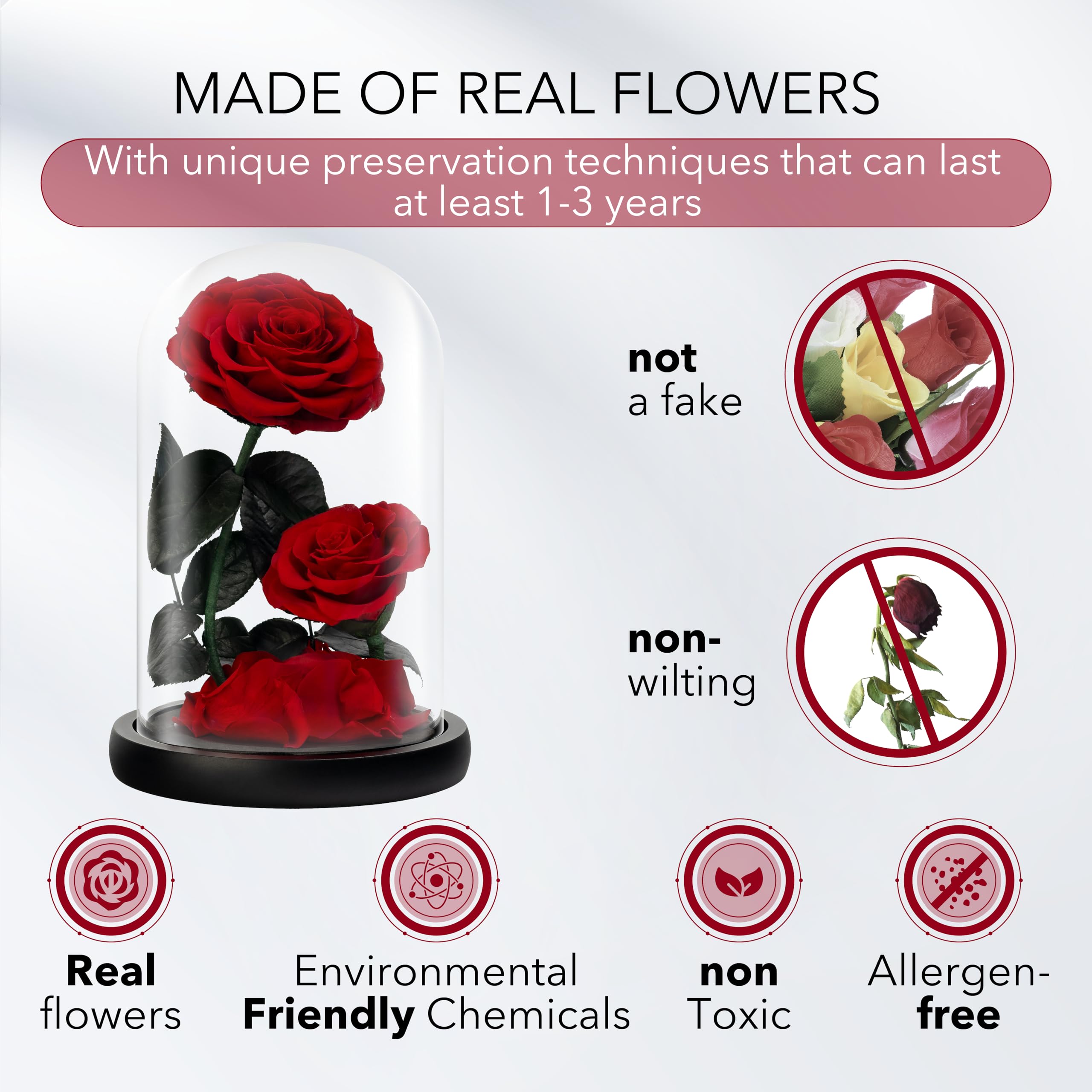 LOVAPPY Preserved Eternal Rose in Glass Dome – Infinity Flower Gift