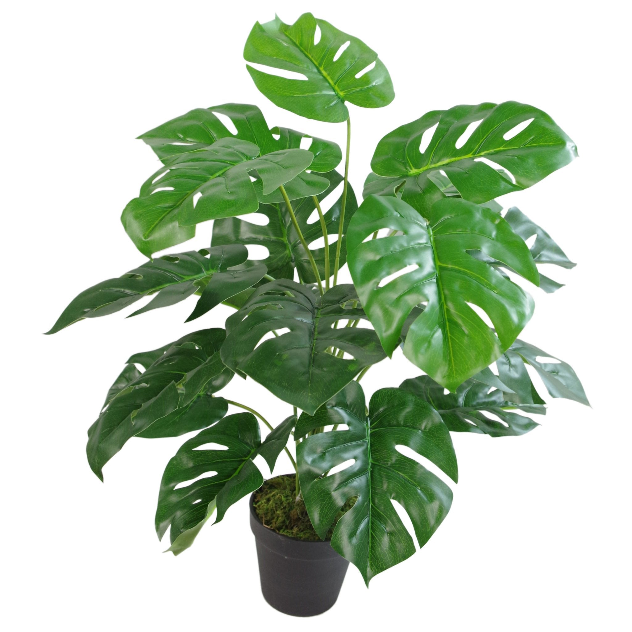 Jolof Store Realistic Artificial Monstera Plant | Potted Faux Greenery, 120cm