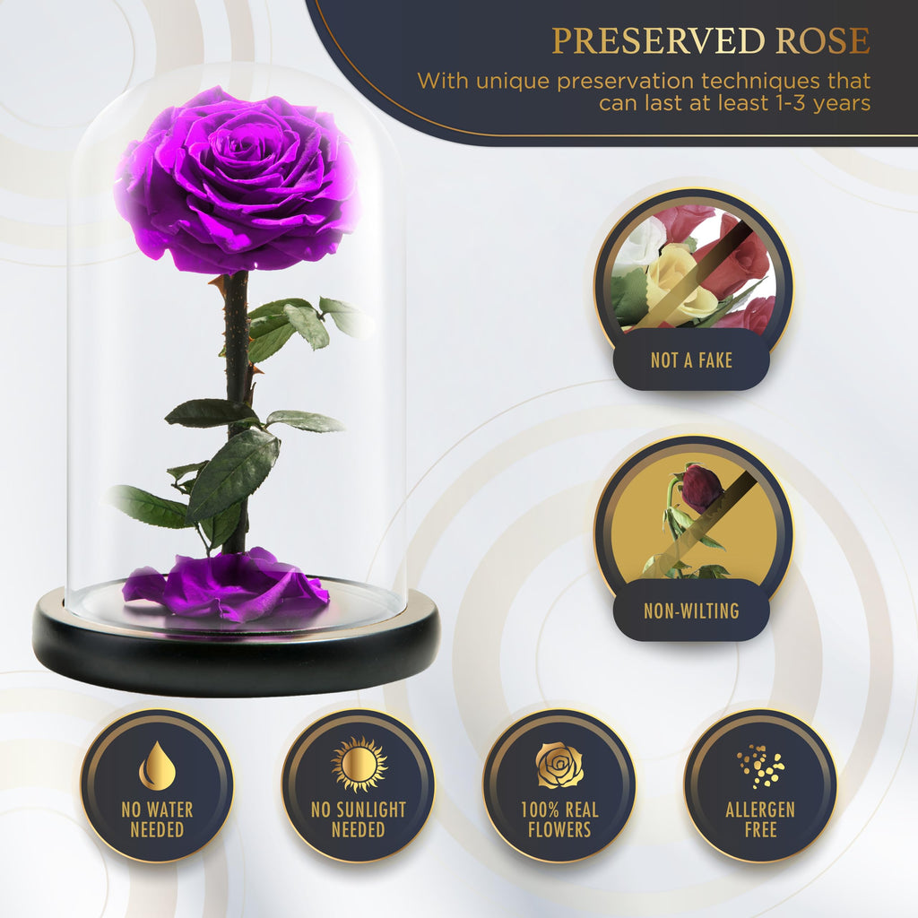 LOVAPPY Preserved Real Rose in Glass Dome – Beauty and the Beast Gift