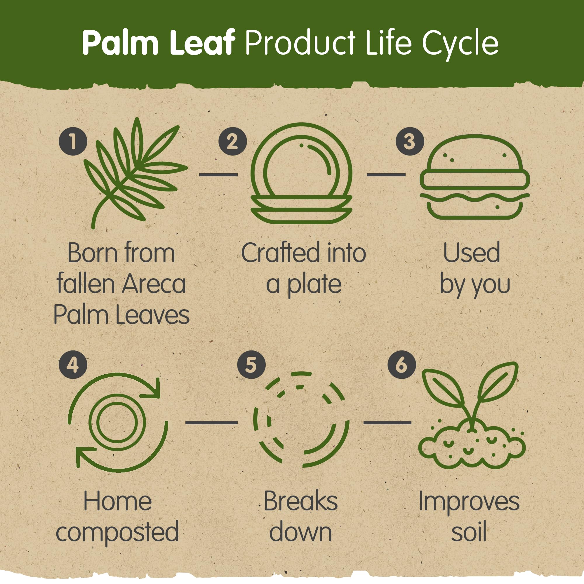 Jolof Store Palm Leaf Plates – 100 Pack Square Compostable Dinnerware Combo