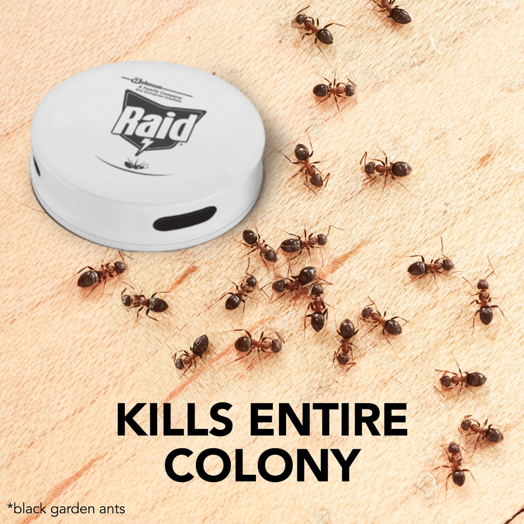 Raid Ant Bait Station – Indoor and Outdoor Colony Killer Pack, 12 Count