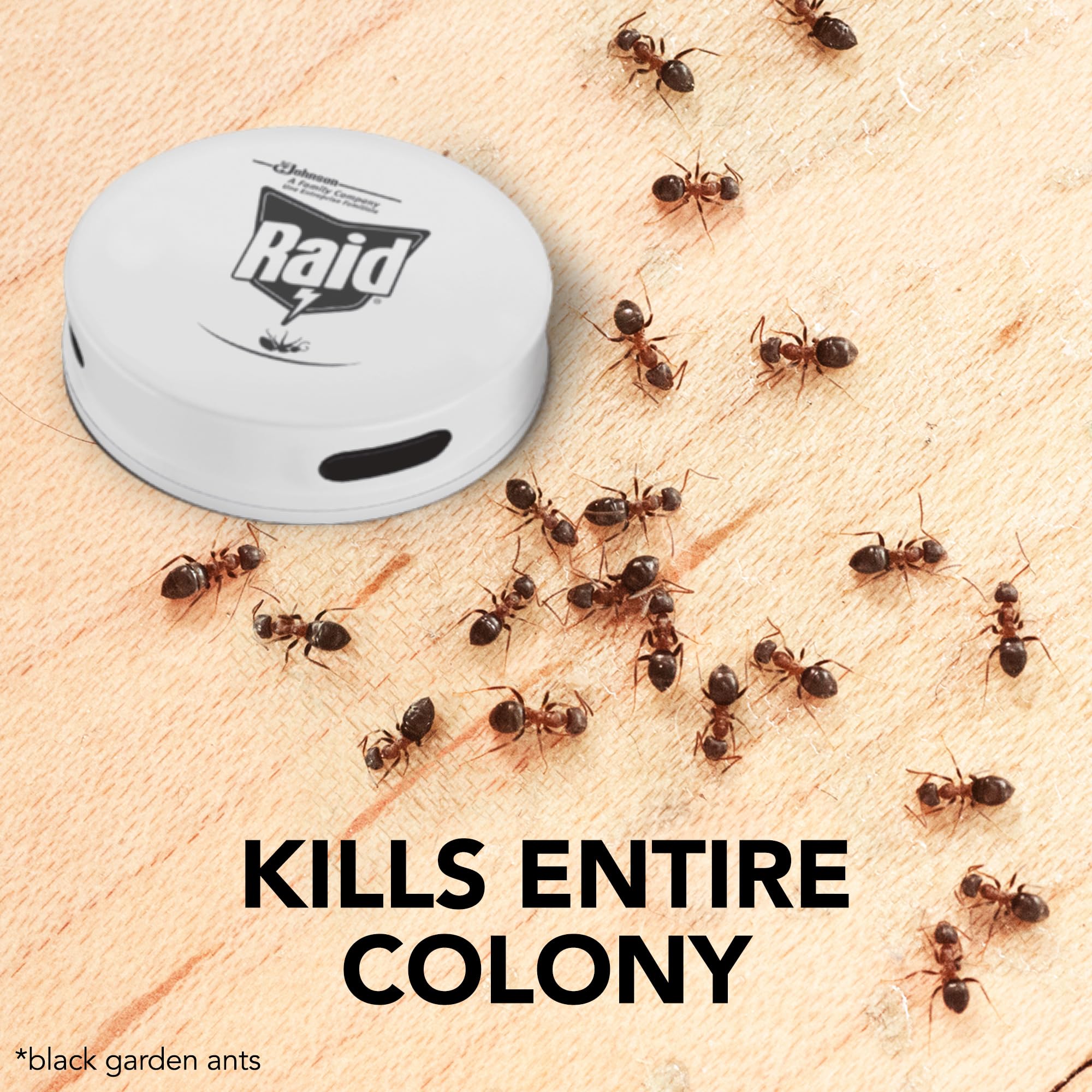 Raid Ant Bait Station – Indoor and Outdoor Colony Killer Pack, 12 Count