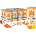 REIGN Storm Valencia Orange Clean Energy Drink - Zero Sugar - 12 x 355ml