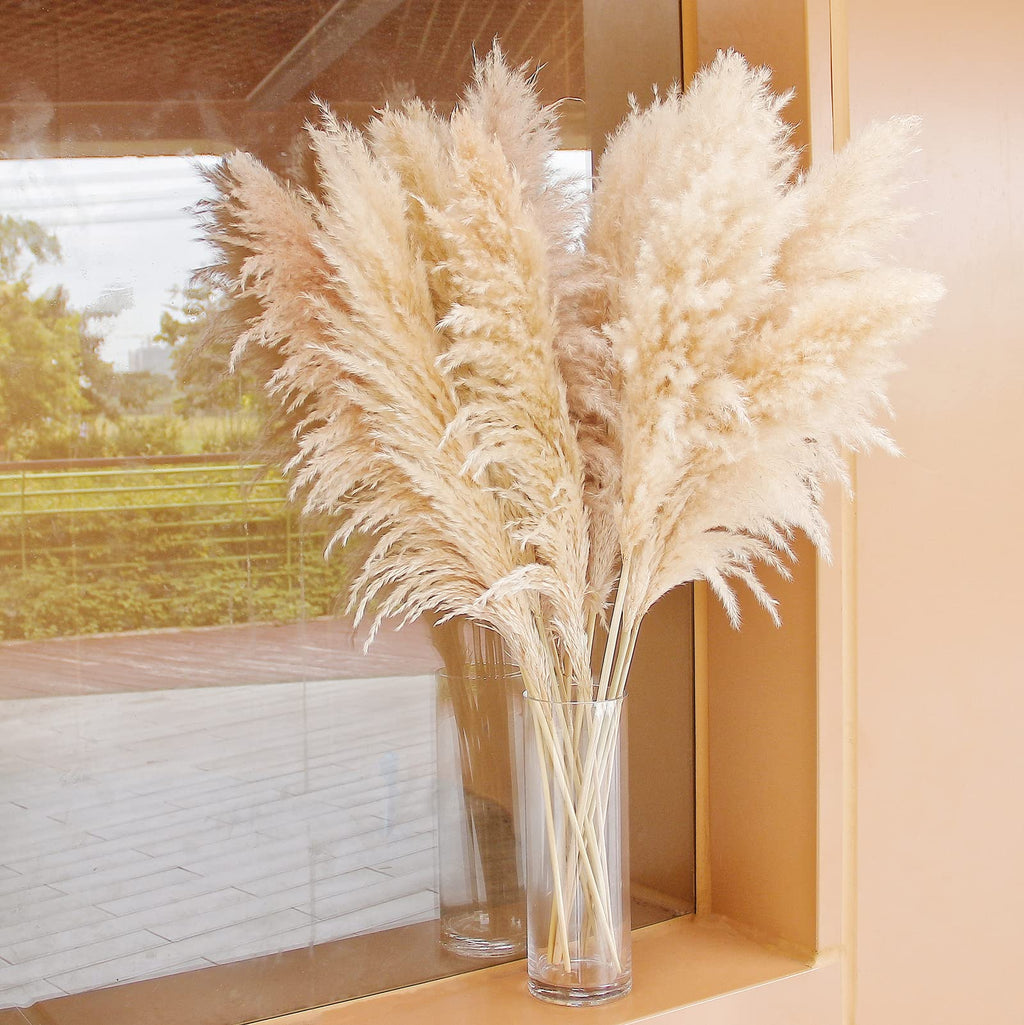 Bannifll 46-inch Natural Pampas Grass – 10 Stems Tall Beige Boho Decor