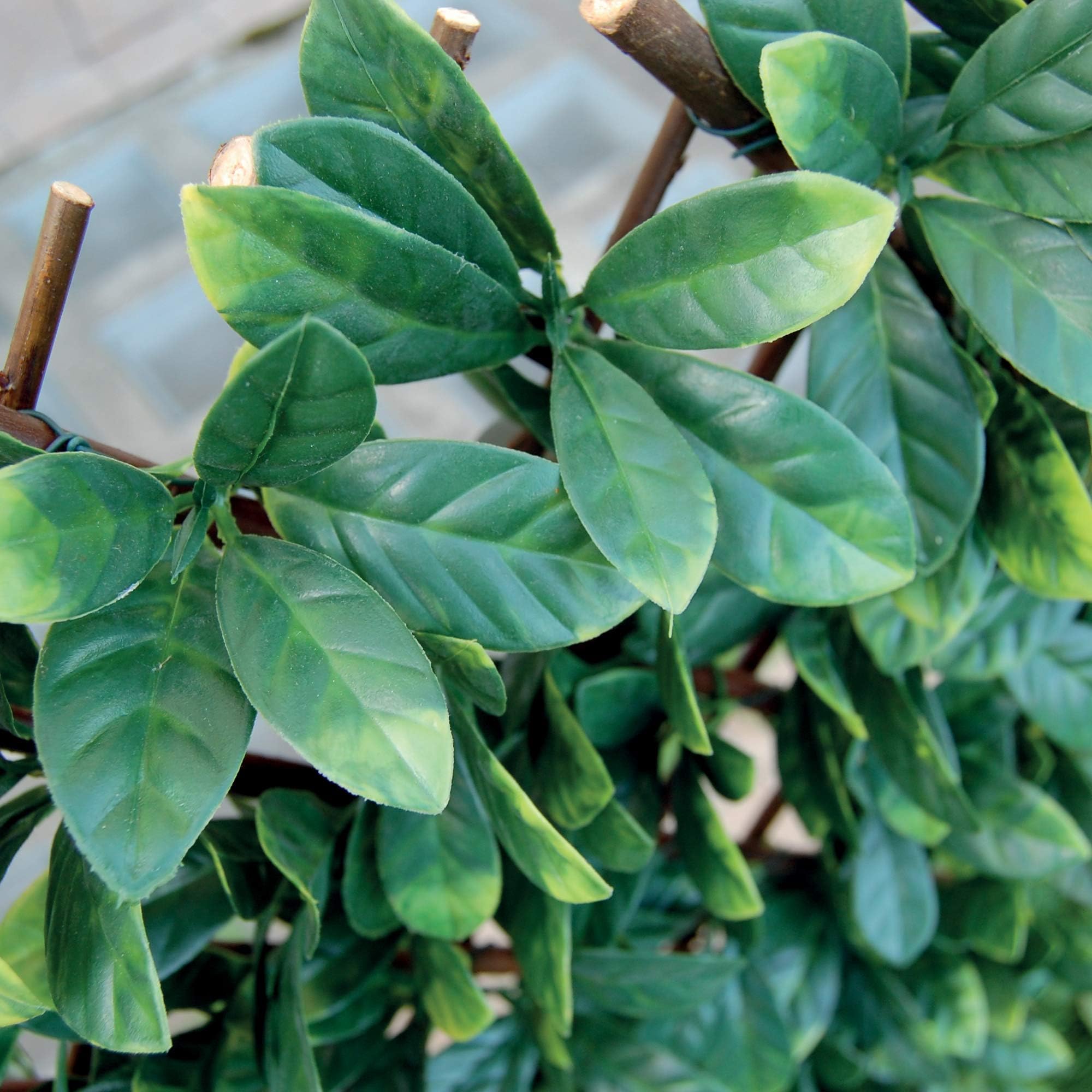Tenax Synthetic Osmanthus Hedge on Extendible Wood Trellis - 1x2m Green