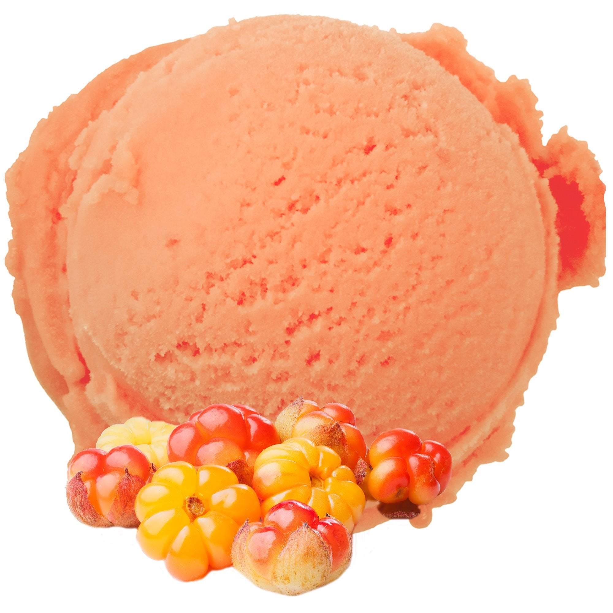 Gino Gelati Softeispulver Skandinavische Früchte – Eispulver 1 kg