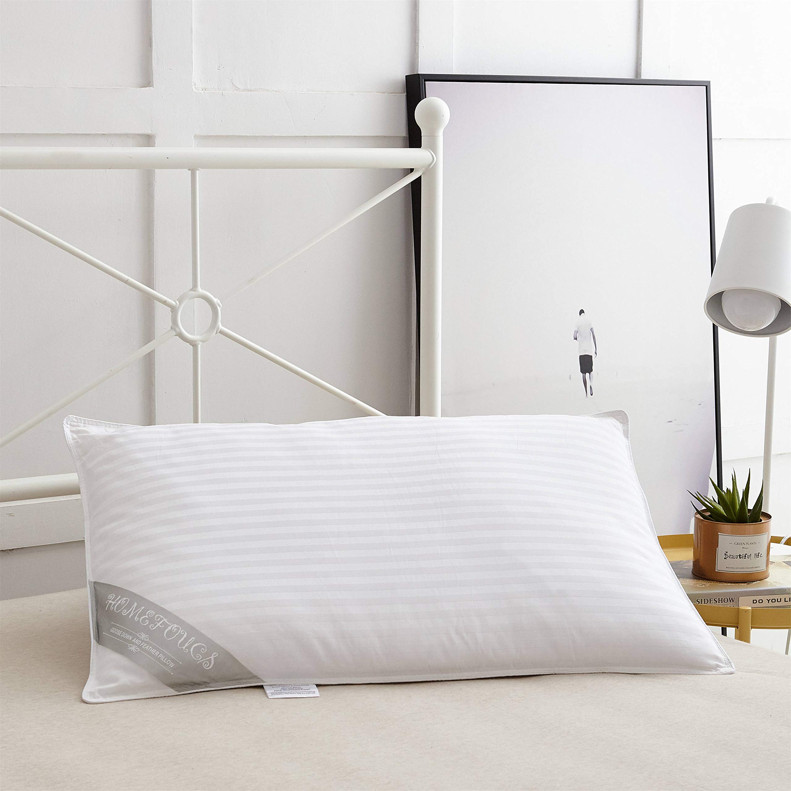 HOMEFOUCS Luxury Feather and Down Pillows | 100% Cotton Shell | Pack of 2