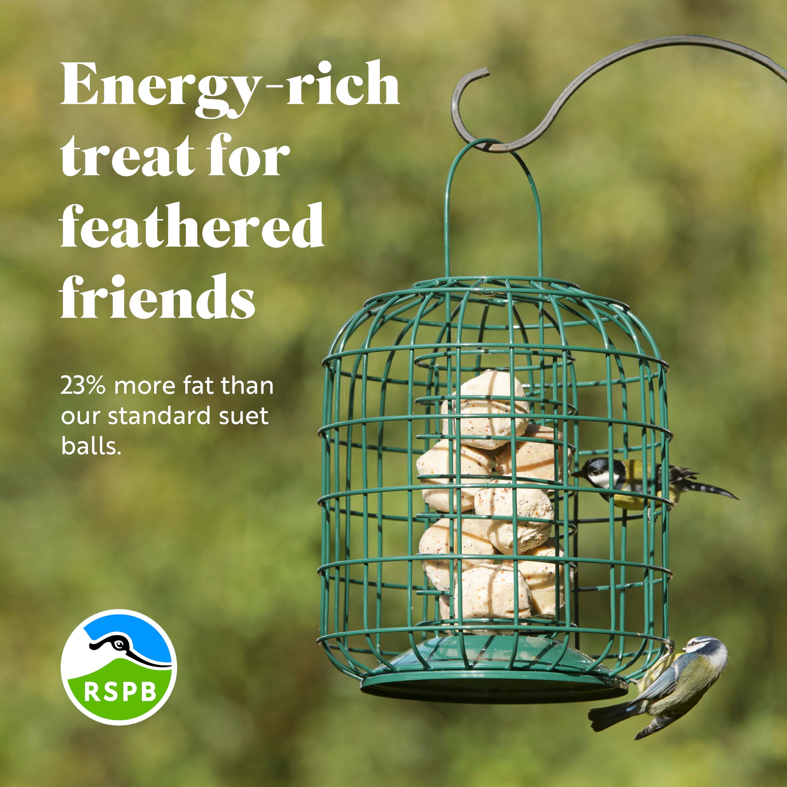 RSPB High Energy Suet Fat Balls for Wild Birds - Box of 160