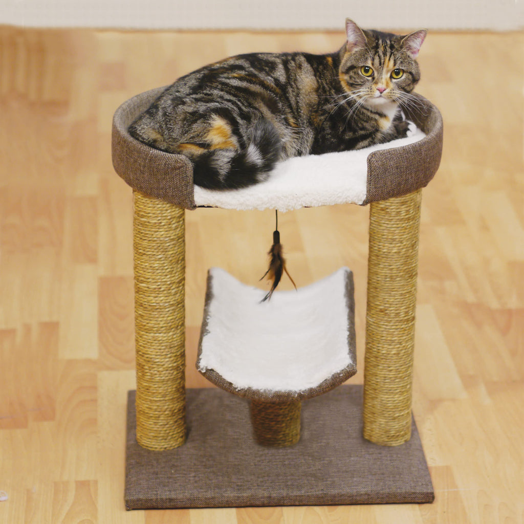 Rosewood Saffron Cat Scratcher Post | 3-in-1 Activity Center with Toy