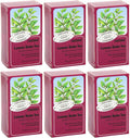 Floradix Organic Lemon Balm Herbal Tea – Caffeine-Free (Pack of 6)