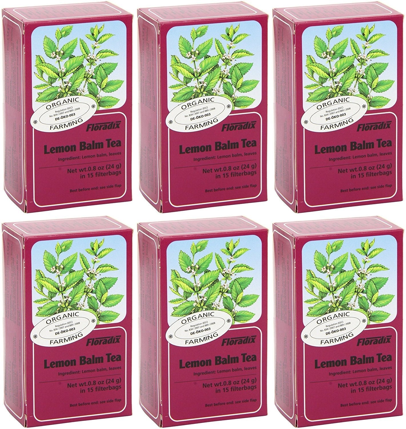 Floradix Organic Lemon Balm Herbal Tea – Caffeine-Free (Pack of 6)
