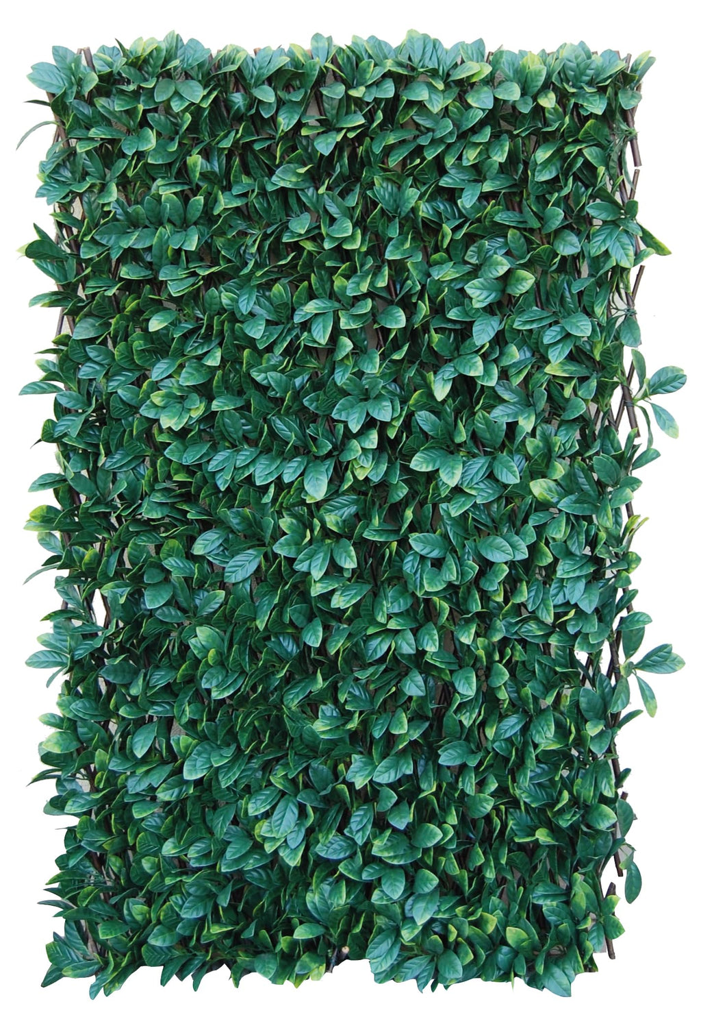 Tenax Synthetic Osmanthus Hedge on Extendible Wood Trellis - 1x2m Green