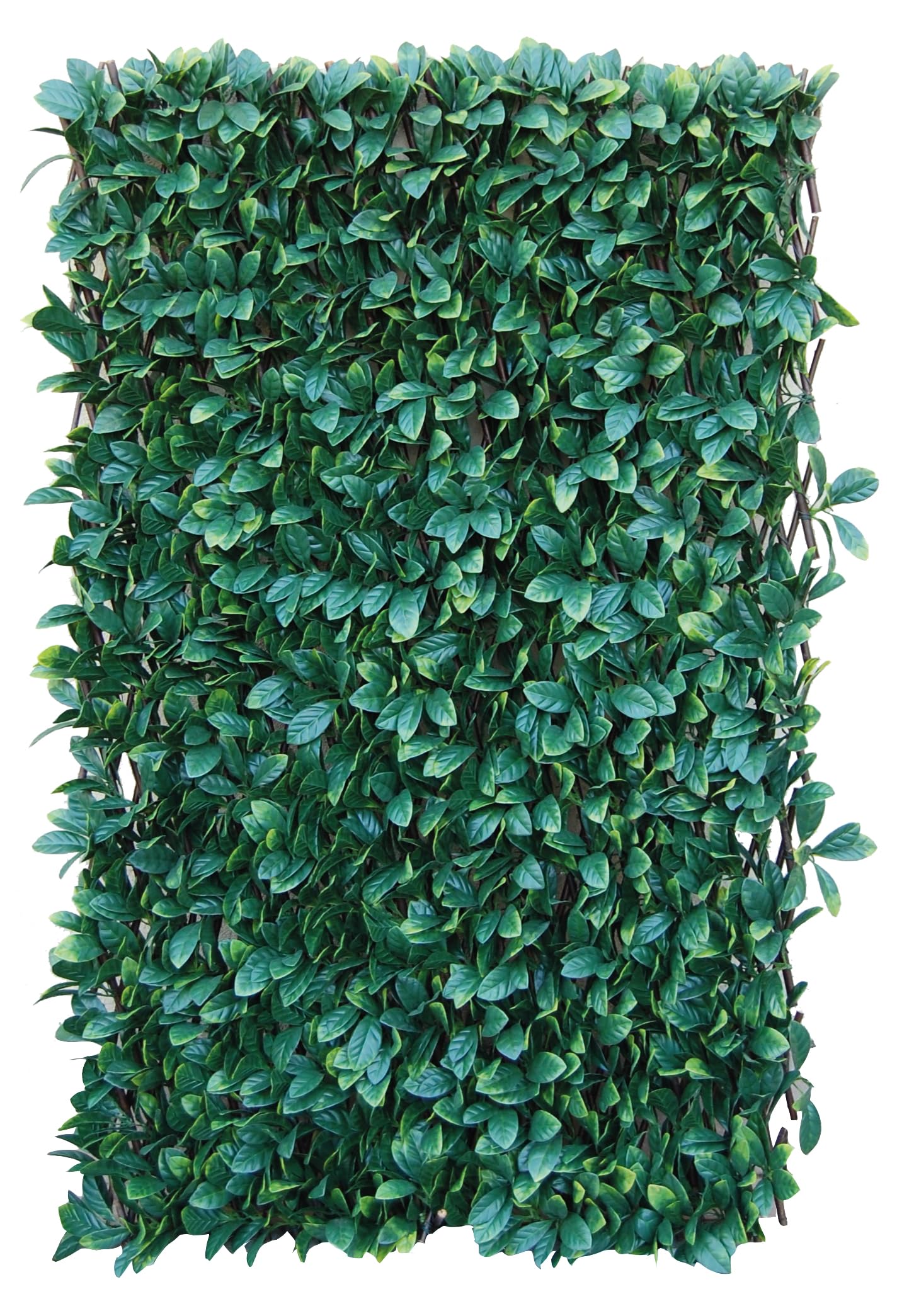 Tenax Synthetic Osmanthus Hedge on Extendible Wood Trellis - 1x2m Green
