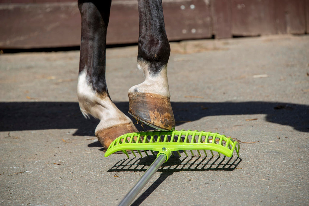 horizont Sweden Manure Fork – Durable Polycarbonate 18-Prong Rake, Green