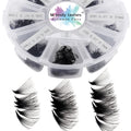 20D Premade Volume Fans – D Curl 0.07mm Russian Lashes
