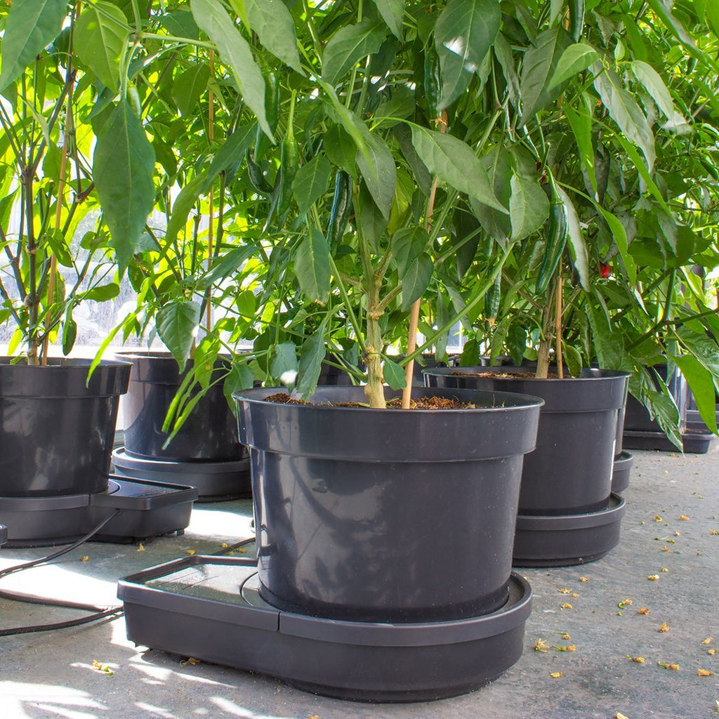 PLANT IT GoGro Automatic Watering System | 2 Plant Kit with 15L Pots