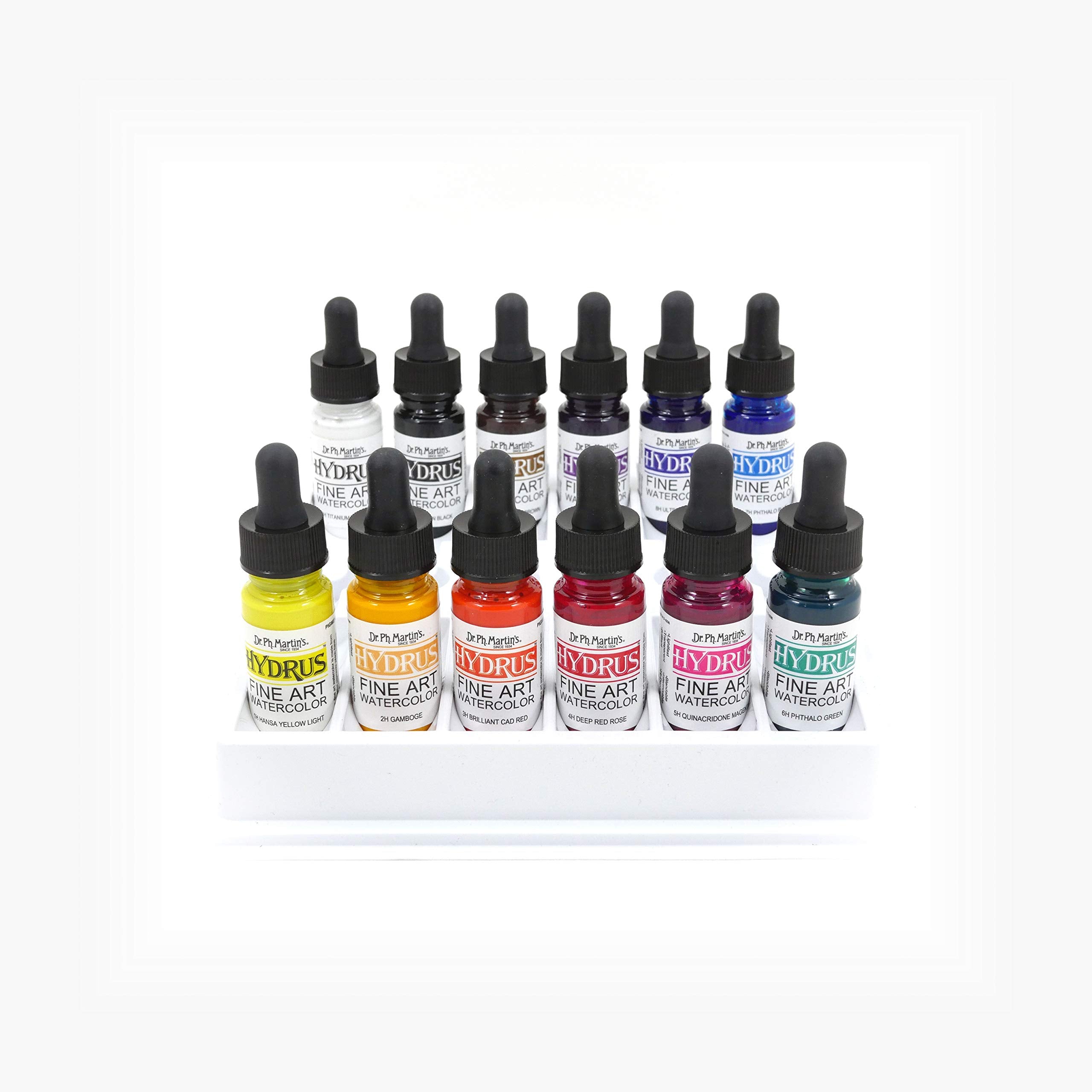 Dr. Ph. Martin's Hydrus Liquid Watercolor Set - 12 Fine Art Colors