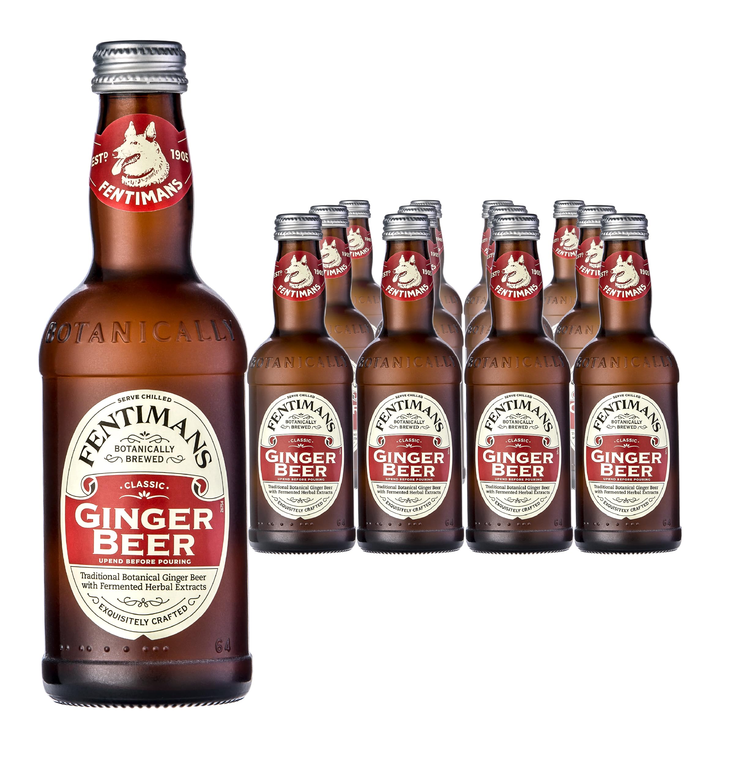 Fentimans Ginger Beer – Traditionally Brewed Botanical Drink, 12 x 275ml