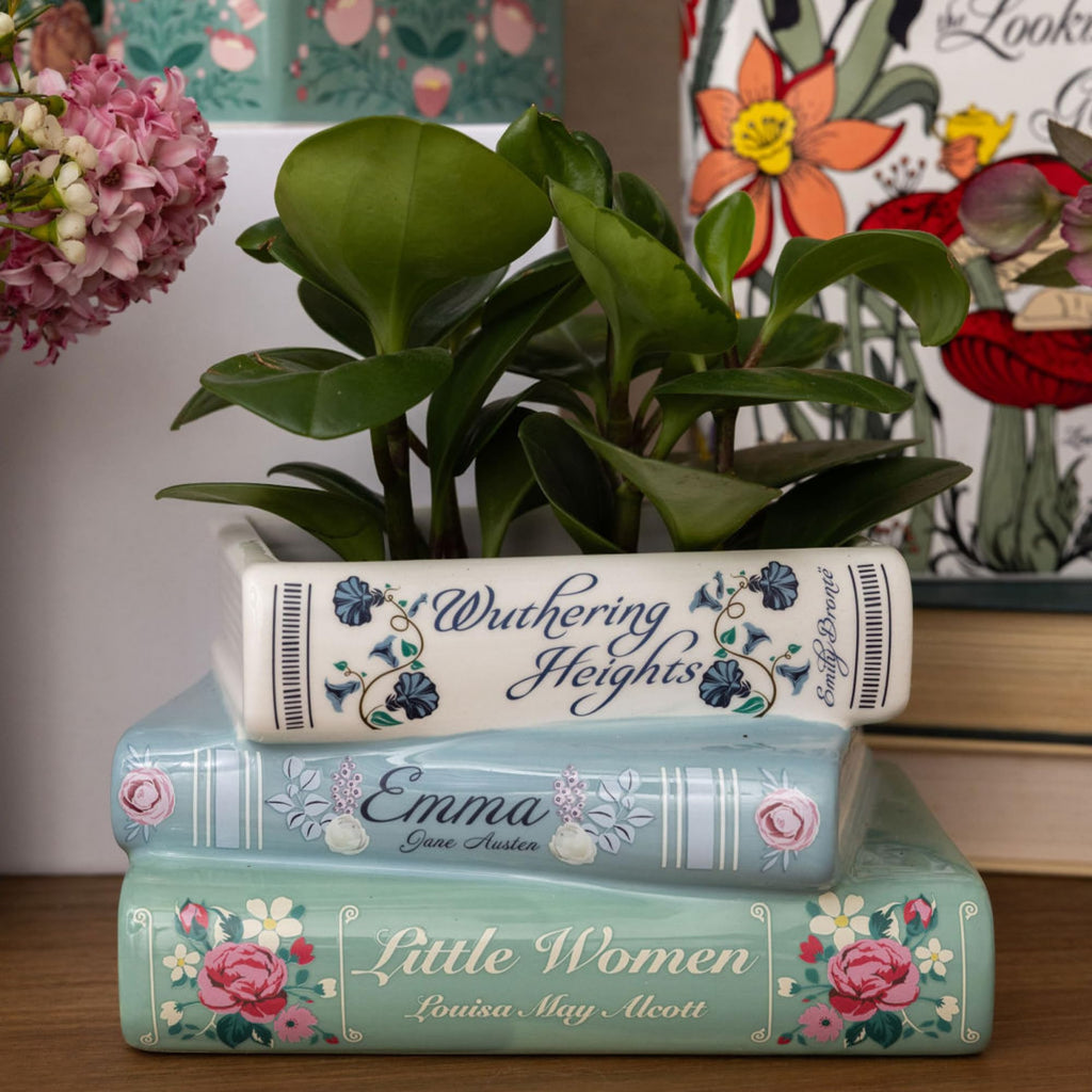 Steel Mill & Co Ceramic Book-Shaped Planter – Classic Titles Design