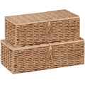 Vagusicc Storage Boxes with Lid, Handwoven Set of 2 Wicker Storage Baskets for Organizing, Nesting Storage Basket for Shelves - image 1
