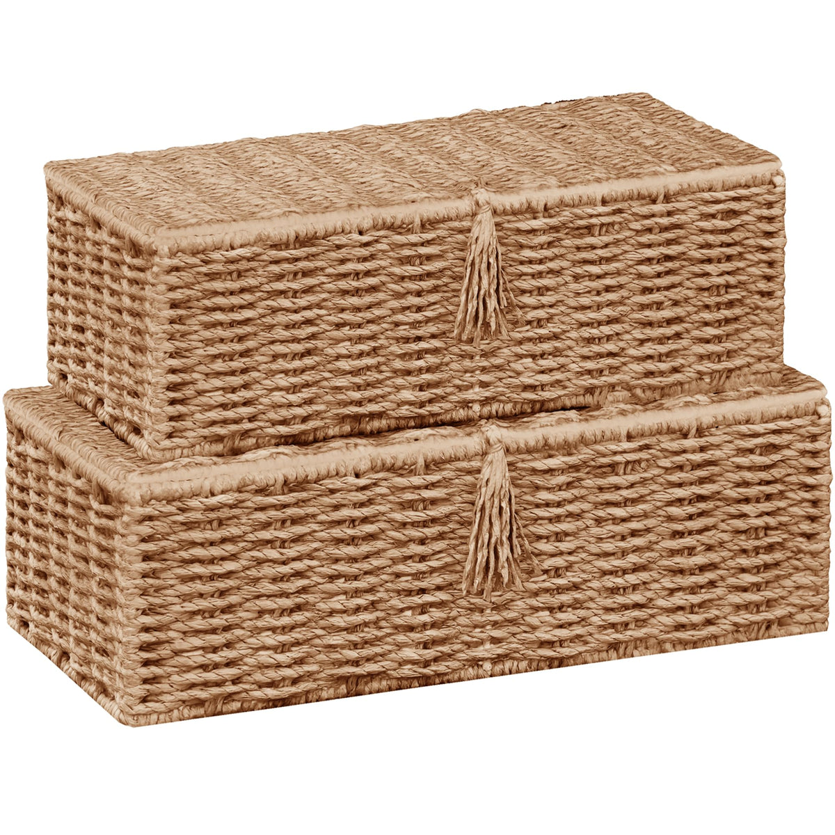 Vagusicc Storage Boxes with Lid, Handwoven Set of 2 Wicker Storage Baskets for Organizing, Nesting Storage Basket for Shelves - image 1