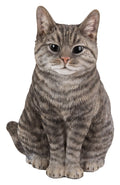 Vivid Arts Tabby Sitting Cat Statue – Lifelike Resin Garden Ornament