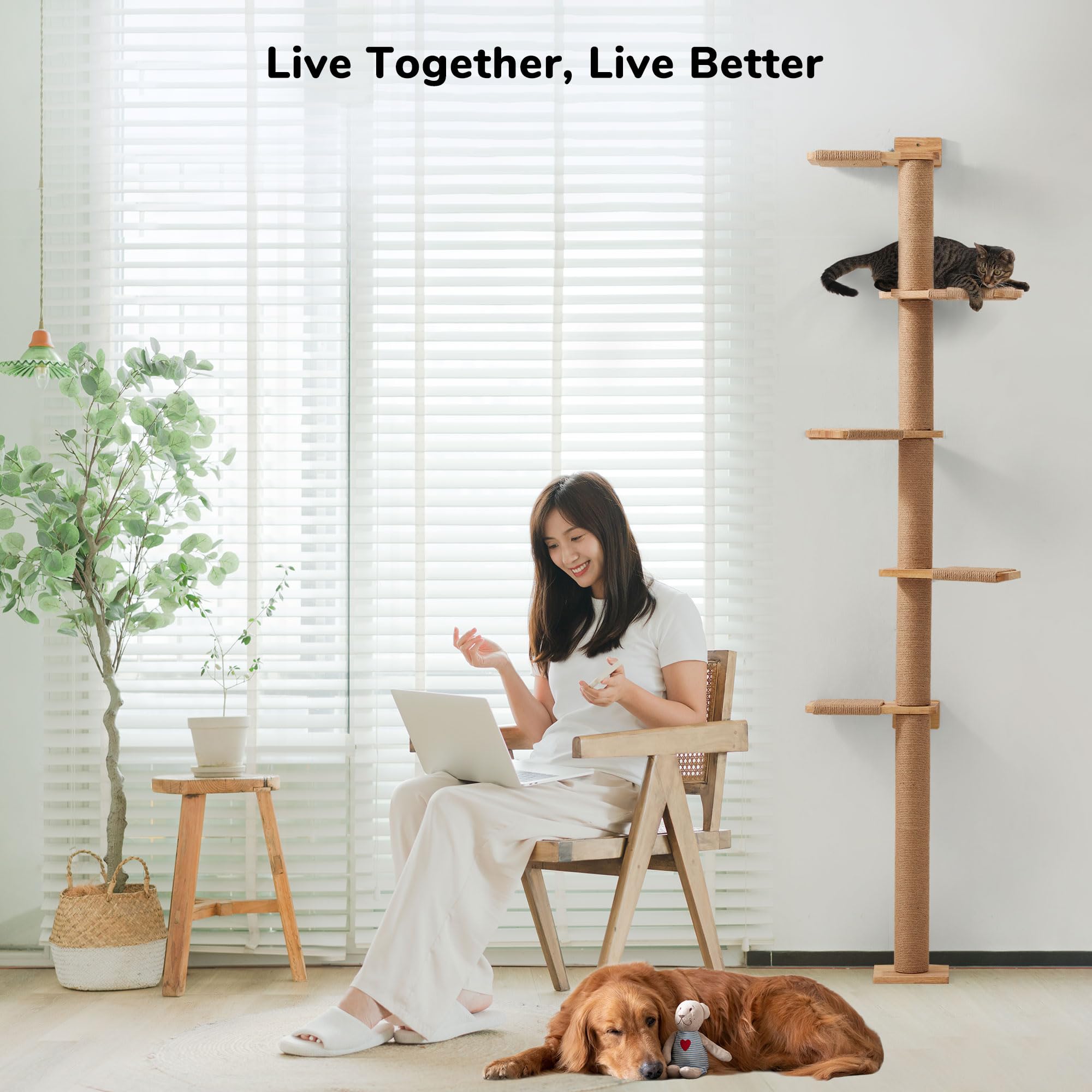 FUKUMARU Tall Cat Tree | 5-Tier Floor to Ceiling Wall-Mounted Wood Tower