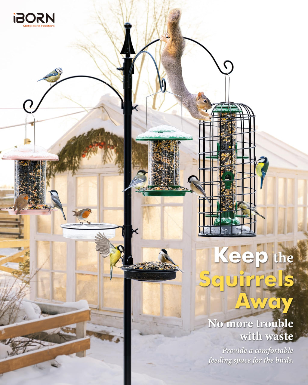 iBorn Squirrel Proof Bird Feeder – Heavy Duty Metal Hanging Cage, 14 Inch