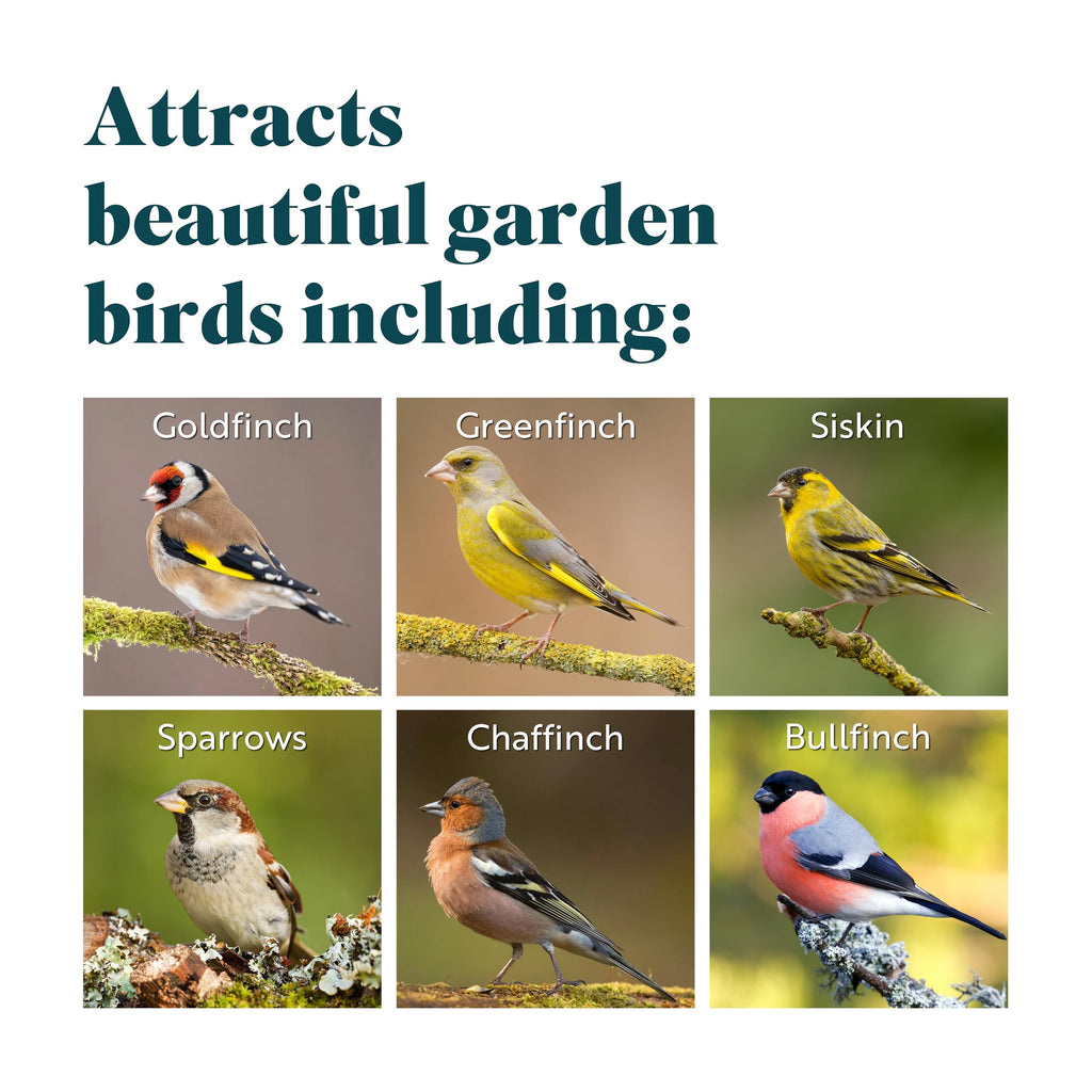 RSPB Nyjer Seeds – High Energy Wild Bird Food for Goldfinches (12.75kg)
