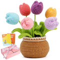 ENCHOL Beginner Crochet Kit | DIY Tulip Flower Bouquet Potted Plant Set