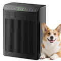 EVALIT Air Purifier for Large Rooms - PM 2.5 Display & Washable Filter
