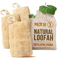 Natural Egyptian Loofah Sponges | 3-Pack Body Exfoliator