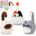 Crochet Kit for Beginners – 3pcs Cat Animal Amigurumi Set