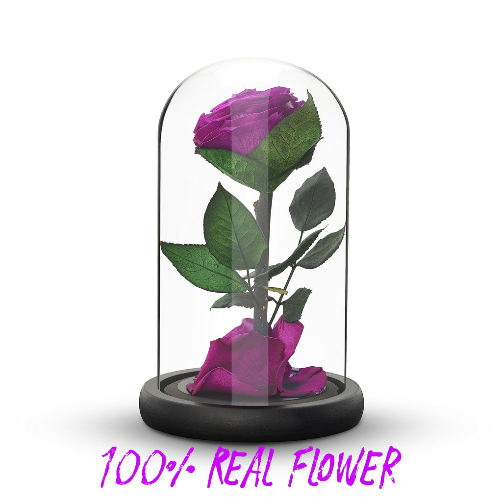Preserved Eternal Rose – Handcrafted Single Flower in Glass Dome