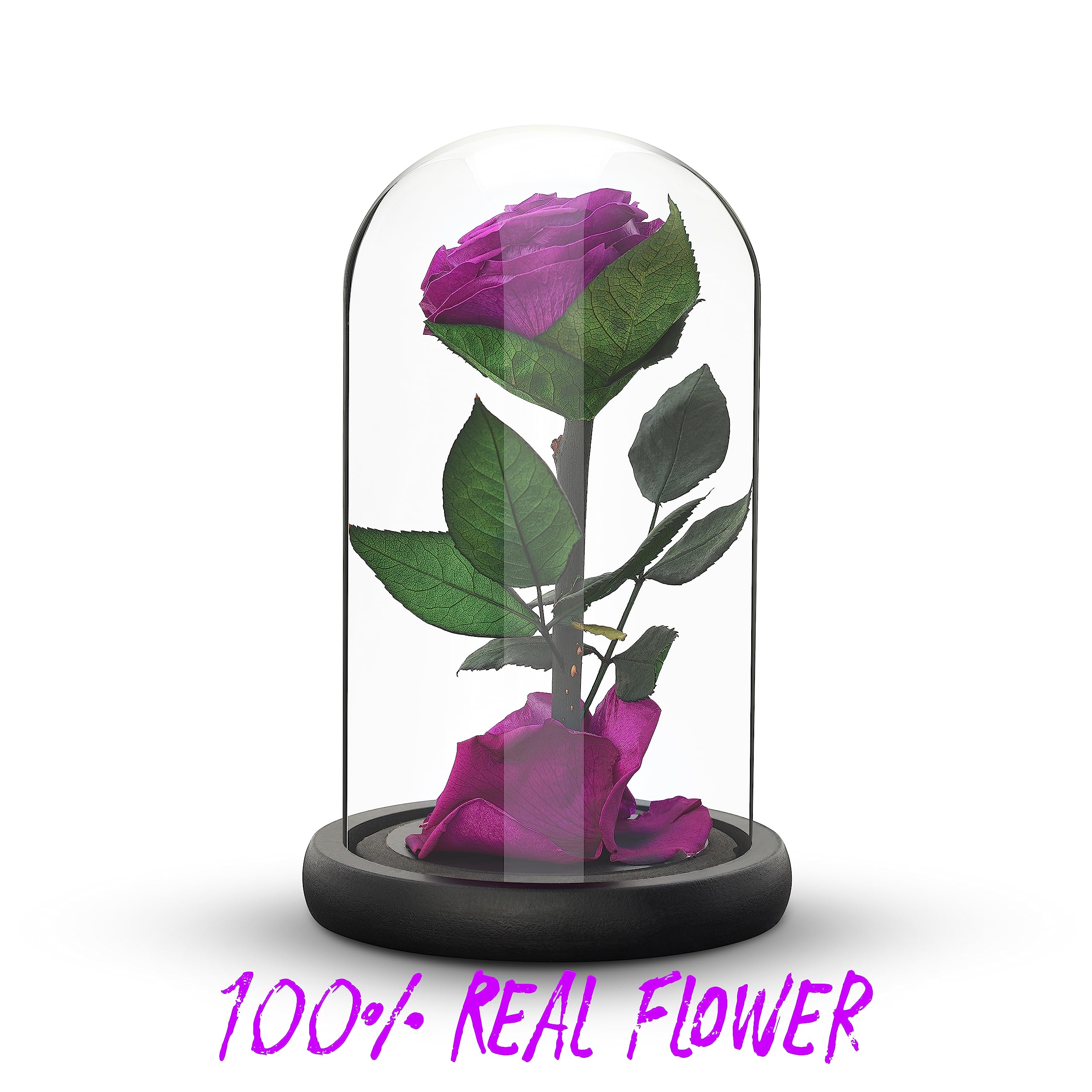 Preserved Eternal Rose – Handcrafted Single Flower in Glass Dome