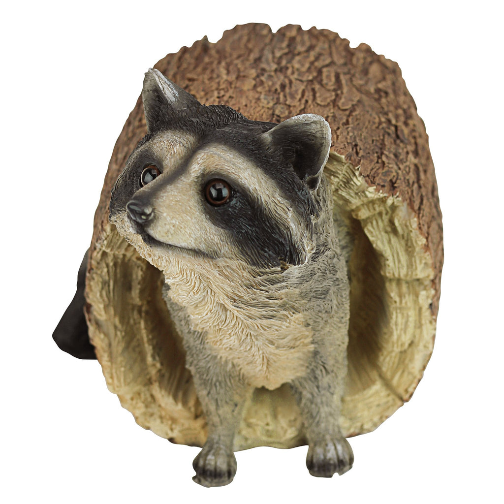 Design Toscano Bandit the Raccoon Garden Statue – 25cm Resin Sculpture