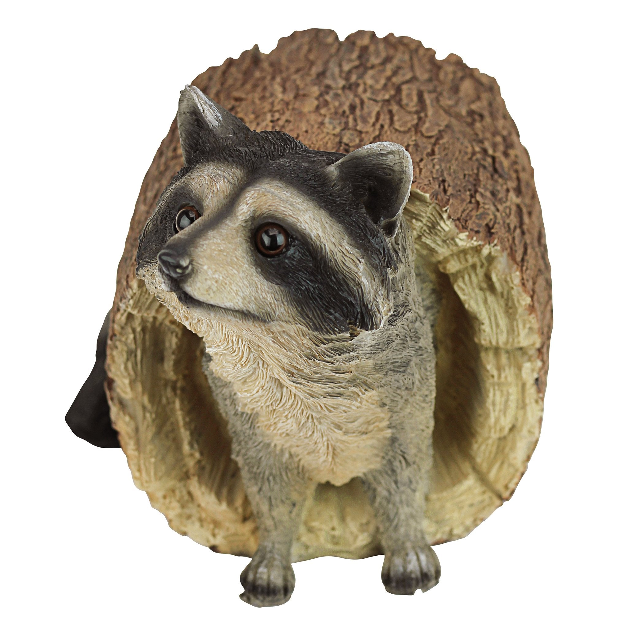 Design Toscano Bandit the Raccoon Garden Statue – 25cm Resin Sculpture