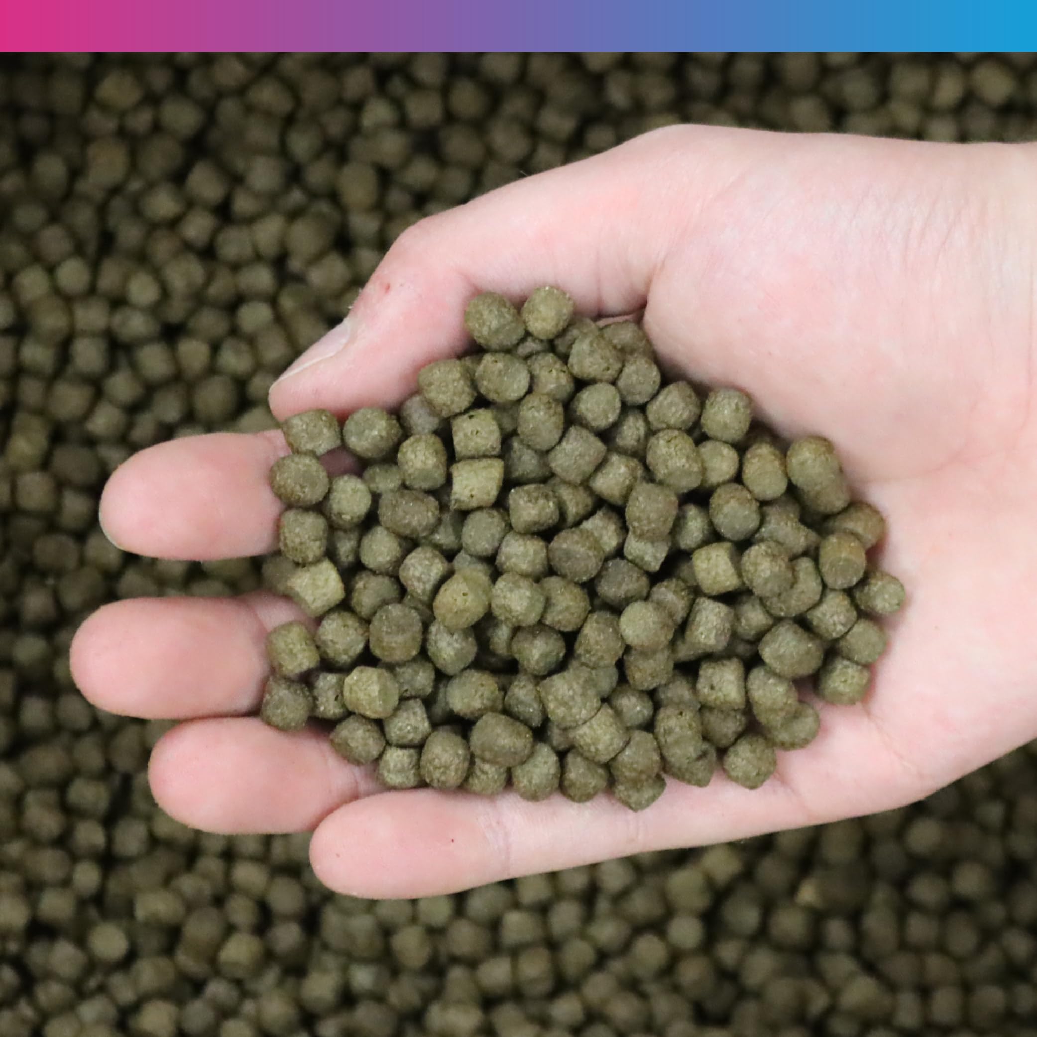 NT Labs Medikoi Probiotic Growth Koi Fish Food - High Protein Feed (1.75kg)
