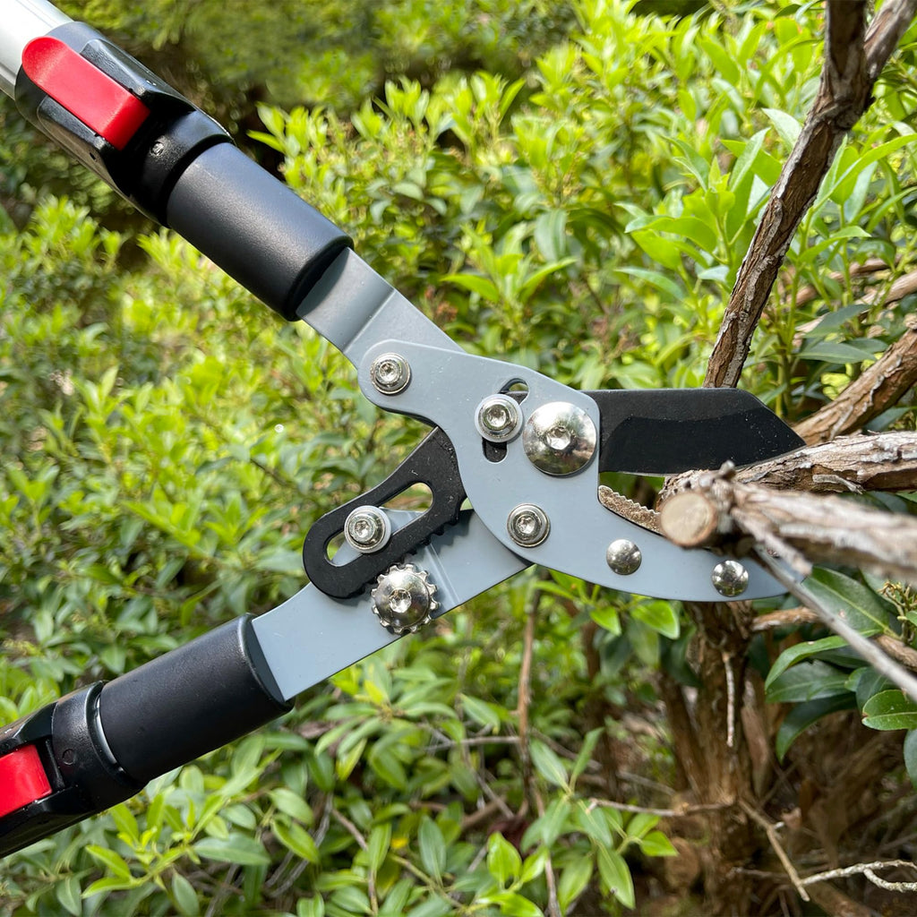 Darlac Telescopic Anvil Garden Loppers | SK5 Carbon Steel Branch Cutters