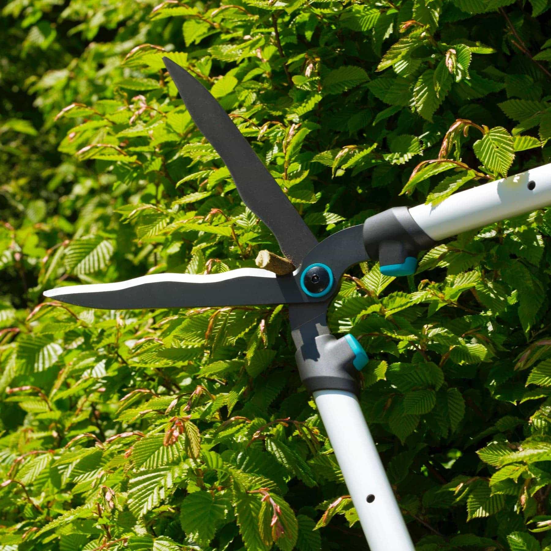 Gardena TeleCut Hedge Shears – Telescopic Steel Blade Trimmer