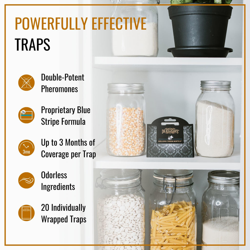 Dr. Killigan's Pantry Moth Traps | Non-Toxic Pheromone Glue Traps - 20 Pack