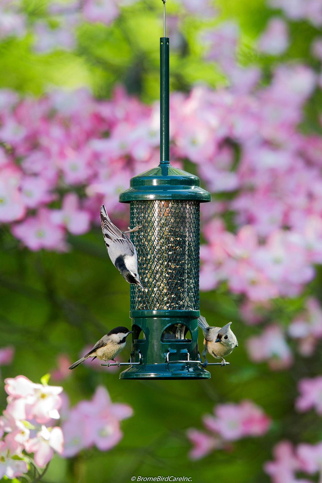 Squirrel Buster Standard Bird Feeder - Squirrel-Proof Metal, 1.3lb