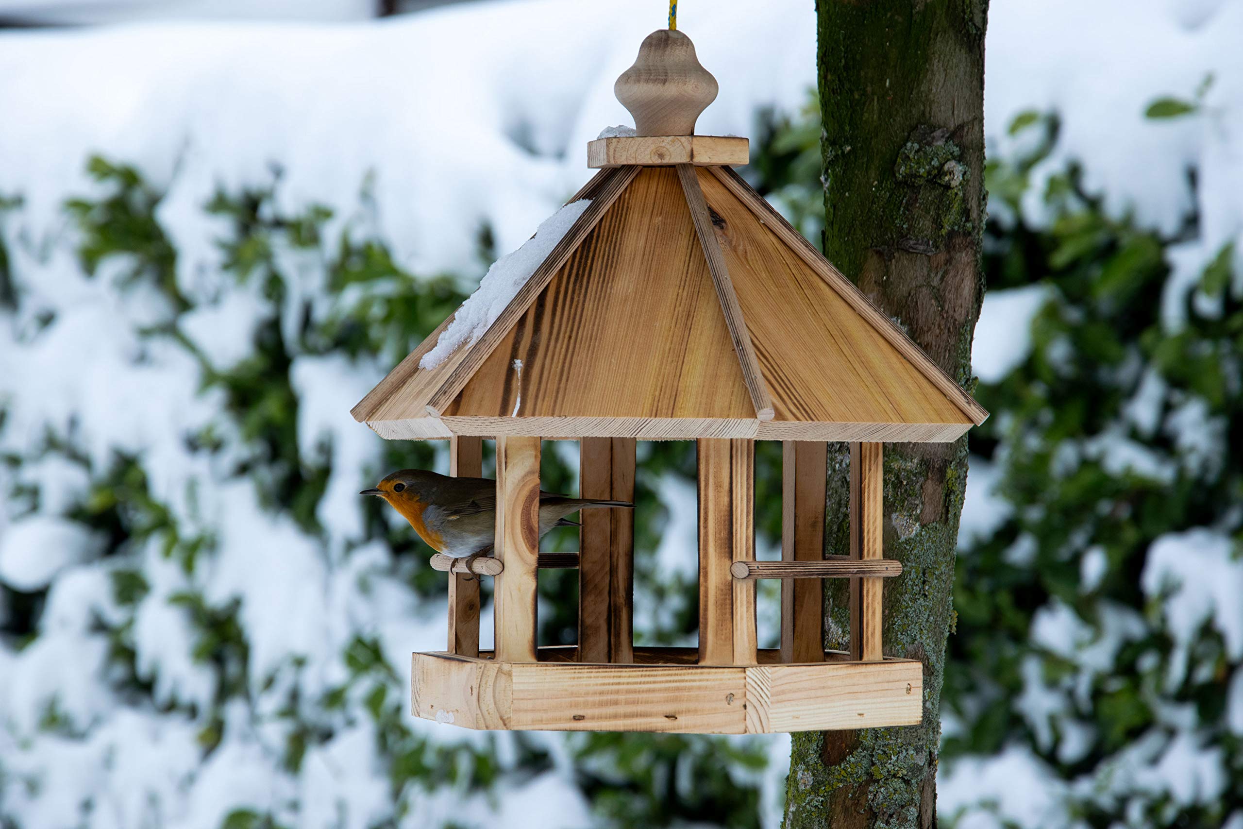 Jolof Store Caliente Hanging Bird House – Flamed FSC Pine Wood