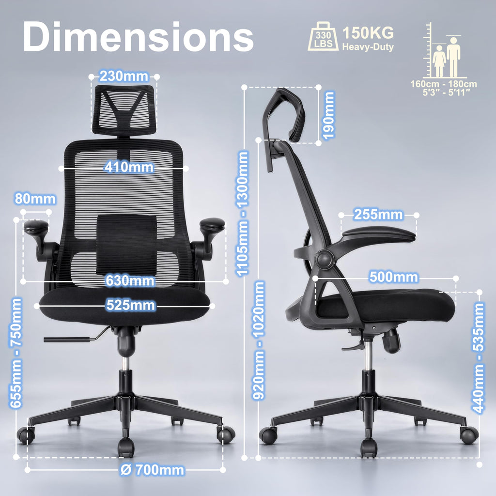 Realm of Thrones Mesh Ergonomic Office Chair, Back Support and Long Hours