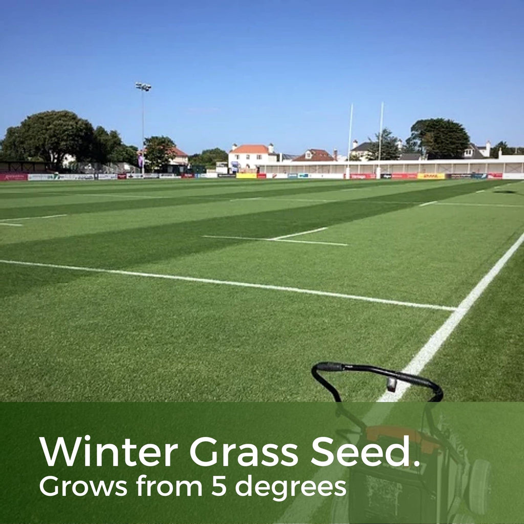 ColdPro Winter Grass Seed - Fast Growing & Hard Wearing (5kg)