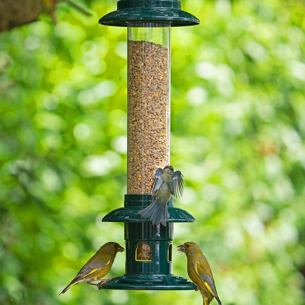 Jacobi Jayne Squirrel Buster Evolution - Metal Squirrel-Proof Bird Feeder