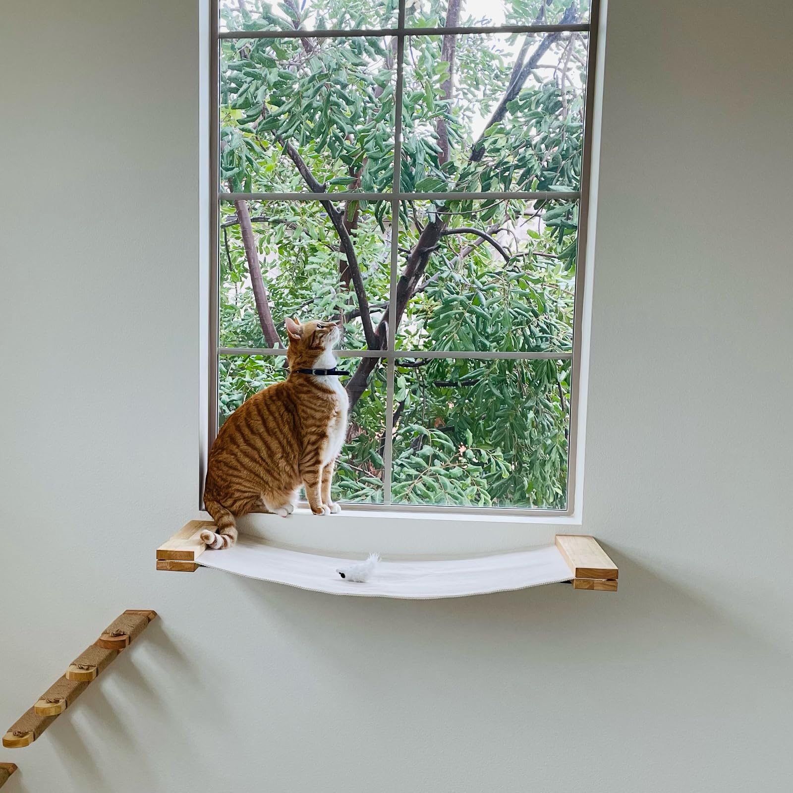 FUKUMARU Cat Wall Hammock – Large Rubber Wood Shelf for Perching