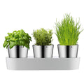 WMF Gourmet Self-Watering Herb Pot - 3-Piece Stainless Steel Garden