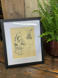 Victorian Anatomy Engraving – Antique Medical Print L