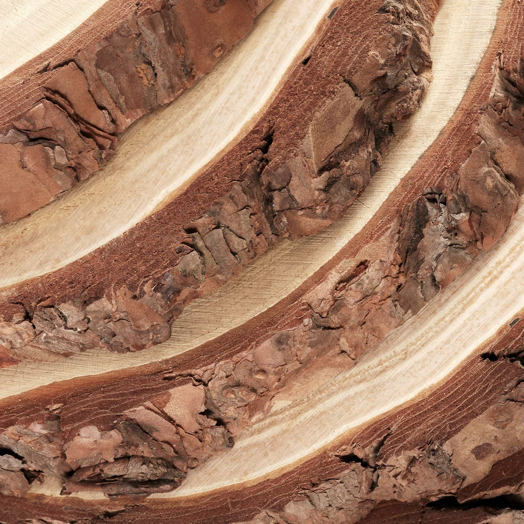 PINGEUI 6-Piece Natural Pine Wood Slices | 9-10 Inch Unfinished Wood Rounds